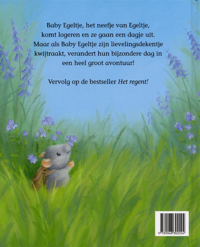 Achterkant van Het grote avontuur van Egel