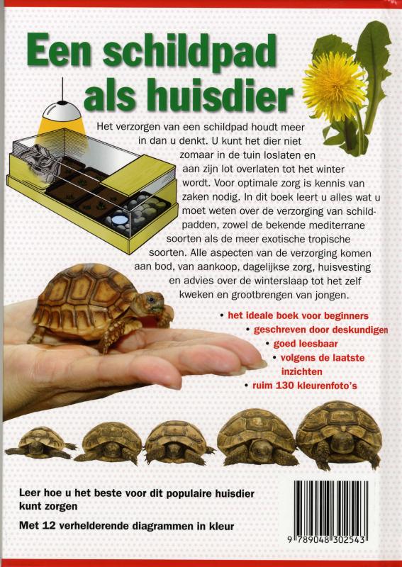 Achterkant van Een schildpad als huisdier