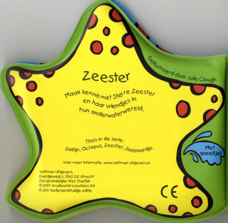 Achterkant van Zeester