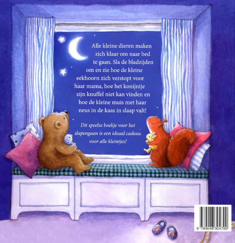 Achterkant van Welterusten, kleintjes!