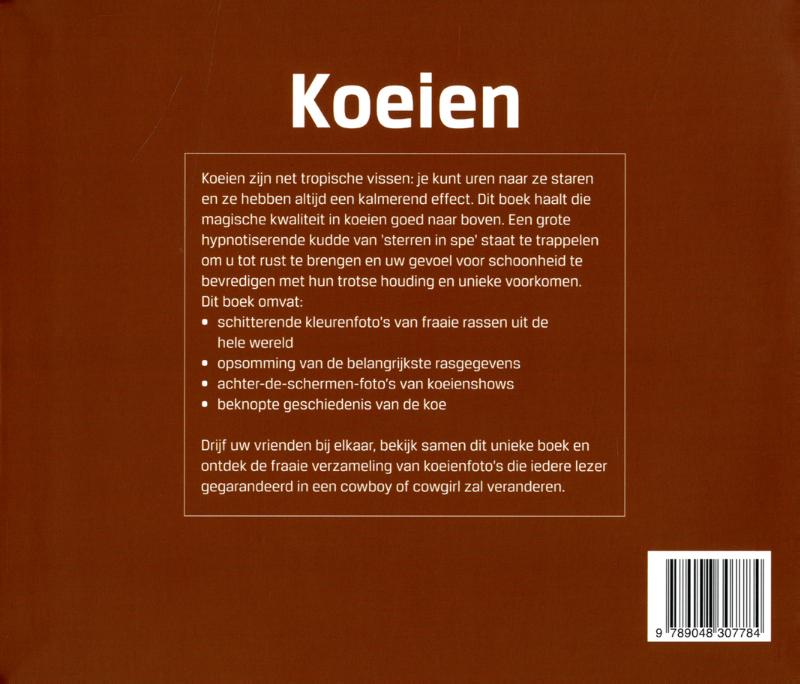 Achterkant van Koeien