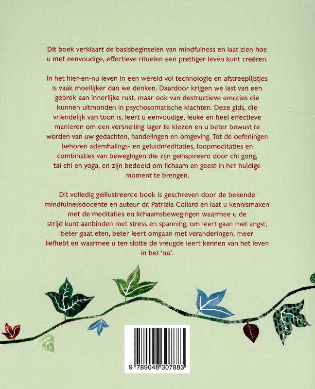 Achterkant van Reis naar mindfulness