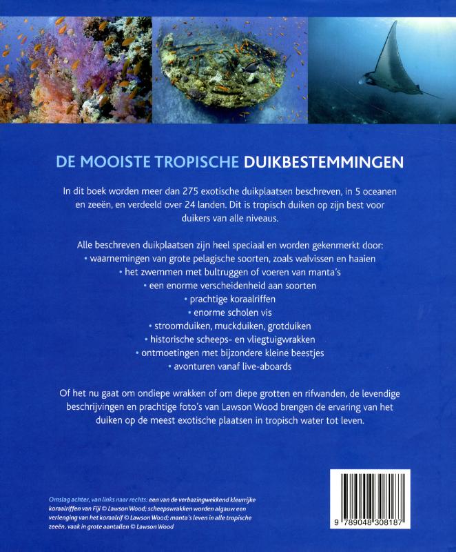 Achterkant van De mooiste tropische duikbestemmingen