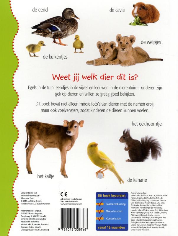 Achterkant van Dieren