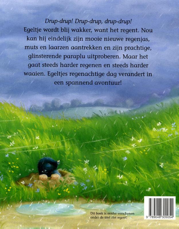 Achterkant van Egeltje in de regen