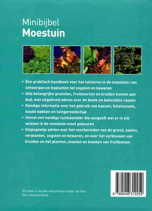 Achterkant van Moestuin