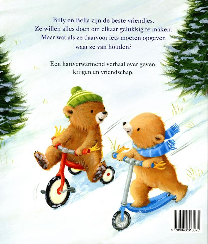 Achterkant van Het perfecte cadeau