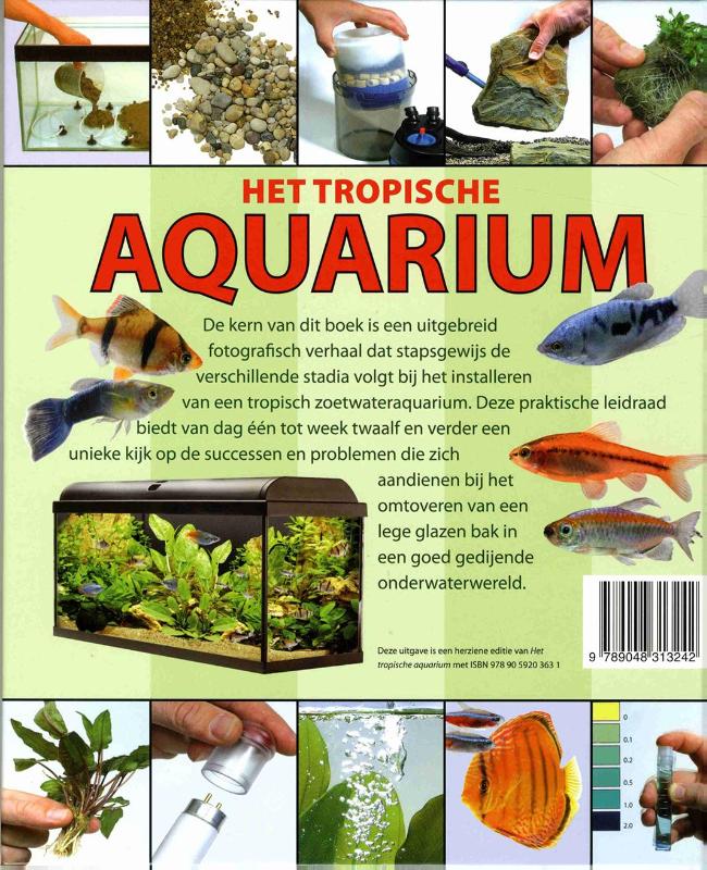 Achterkant van Het tropische aquarium