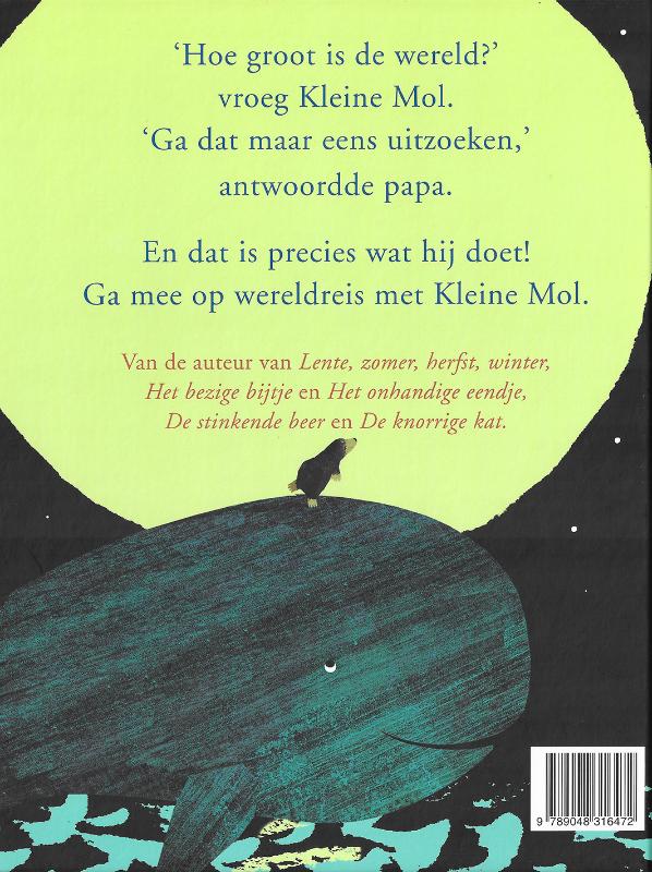 Achterkant van Hoe groot is de wereld?
