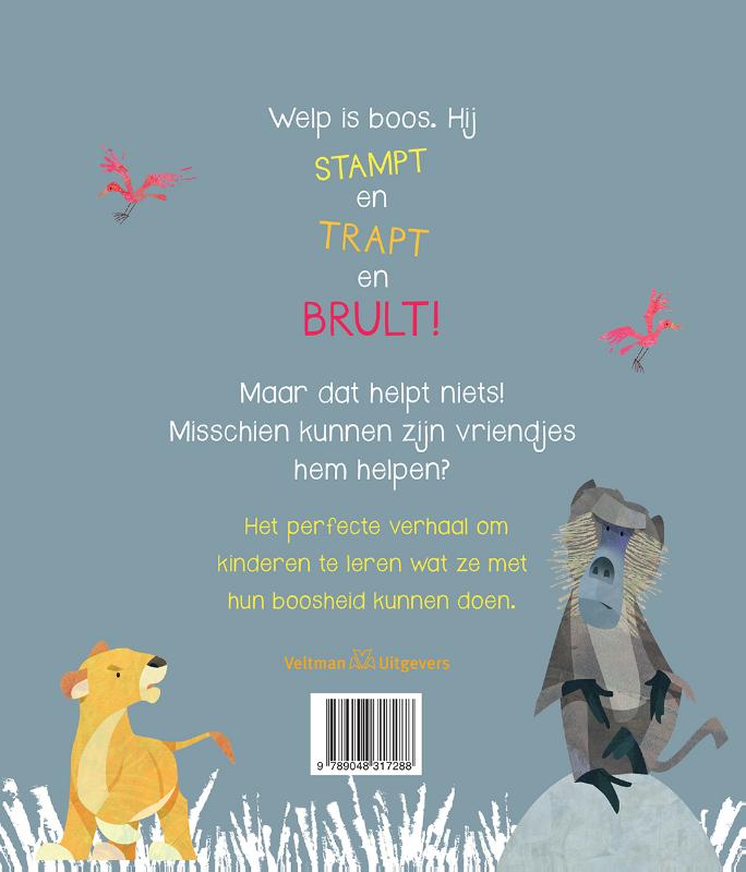 Achterkant van De grote boze brul