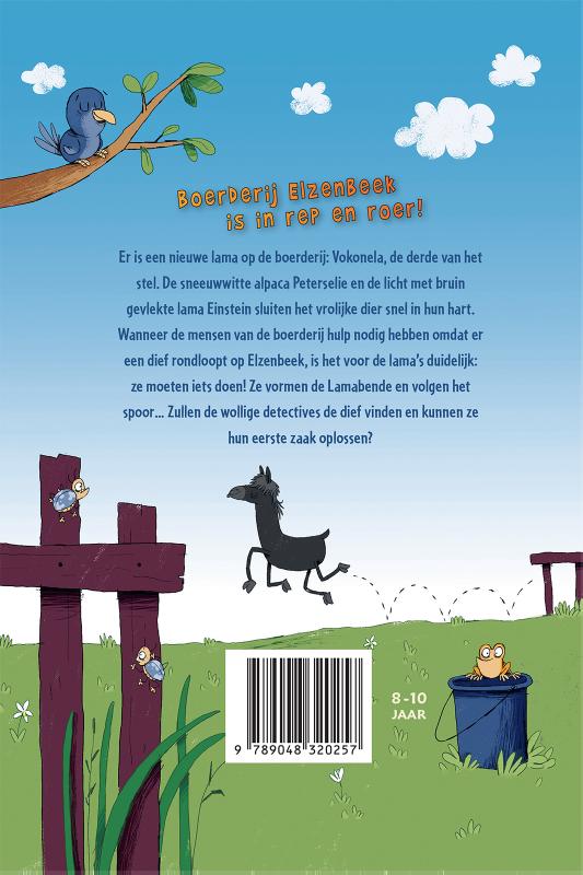 Achterkant van De lamabende
