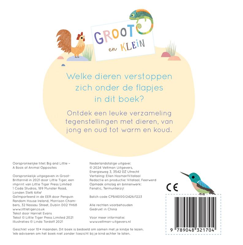 Achterkant van Groot en Klein, een boek vol tegenstellingen