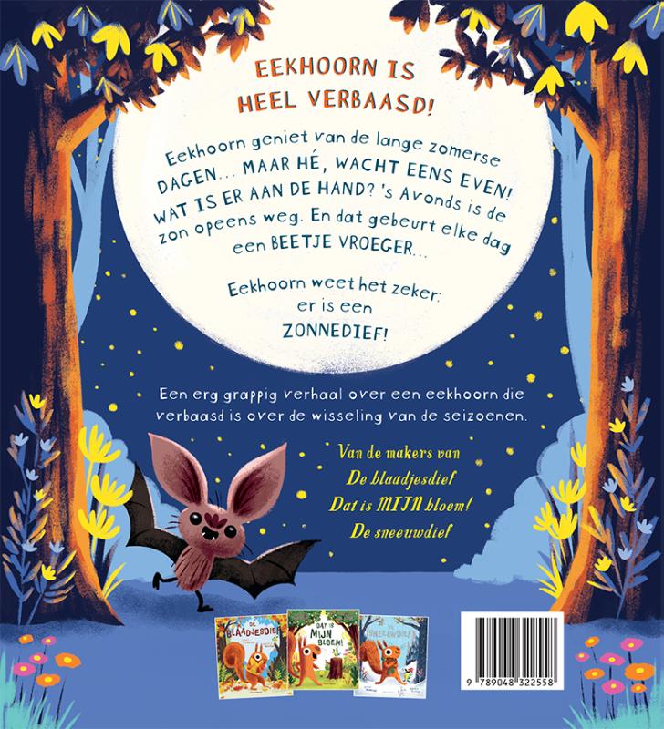 Achterkant van De zonnedief