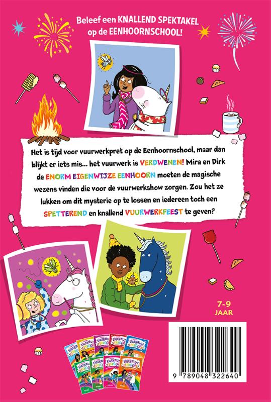 Achterkant van en het vuurwerkfestival