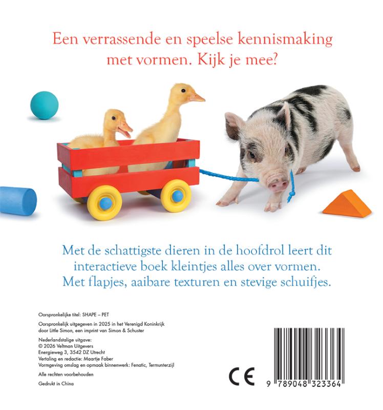 Achterkant van Dieren - Vormen