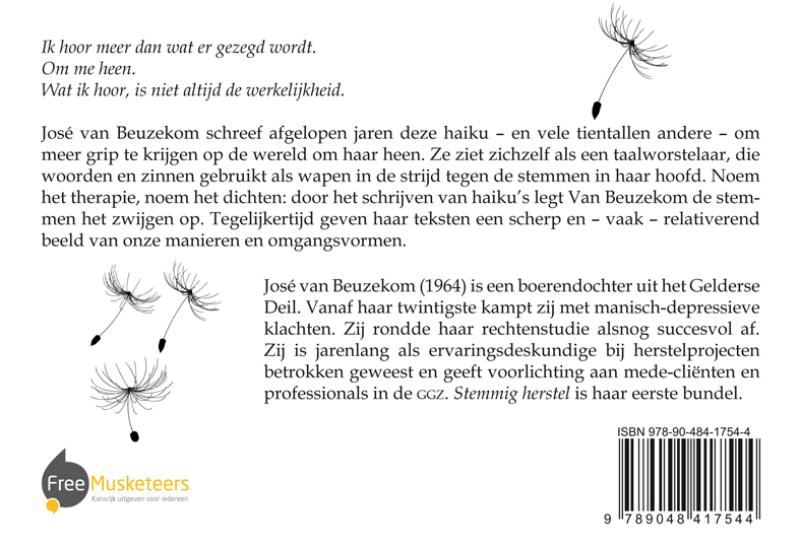 Achterkant van Stemmig herstel