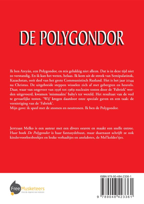 Achterkant van De Polygondor
