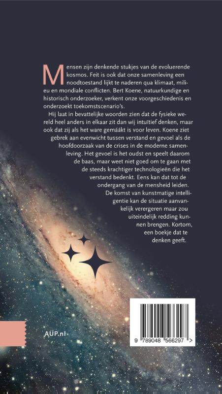 Achterkant van Over de betekenis van ons bestaan