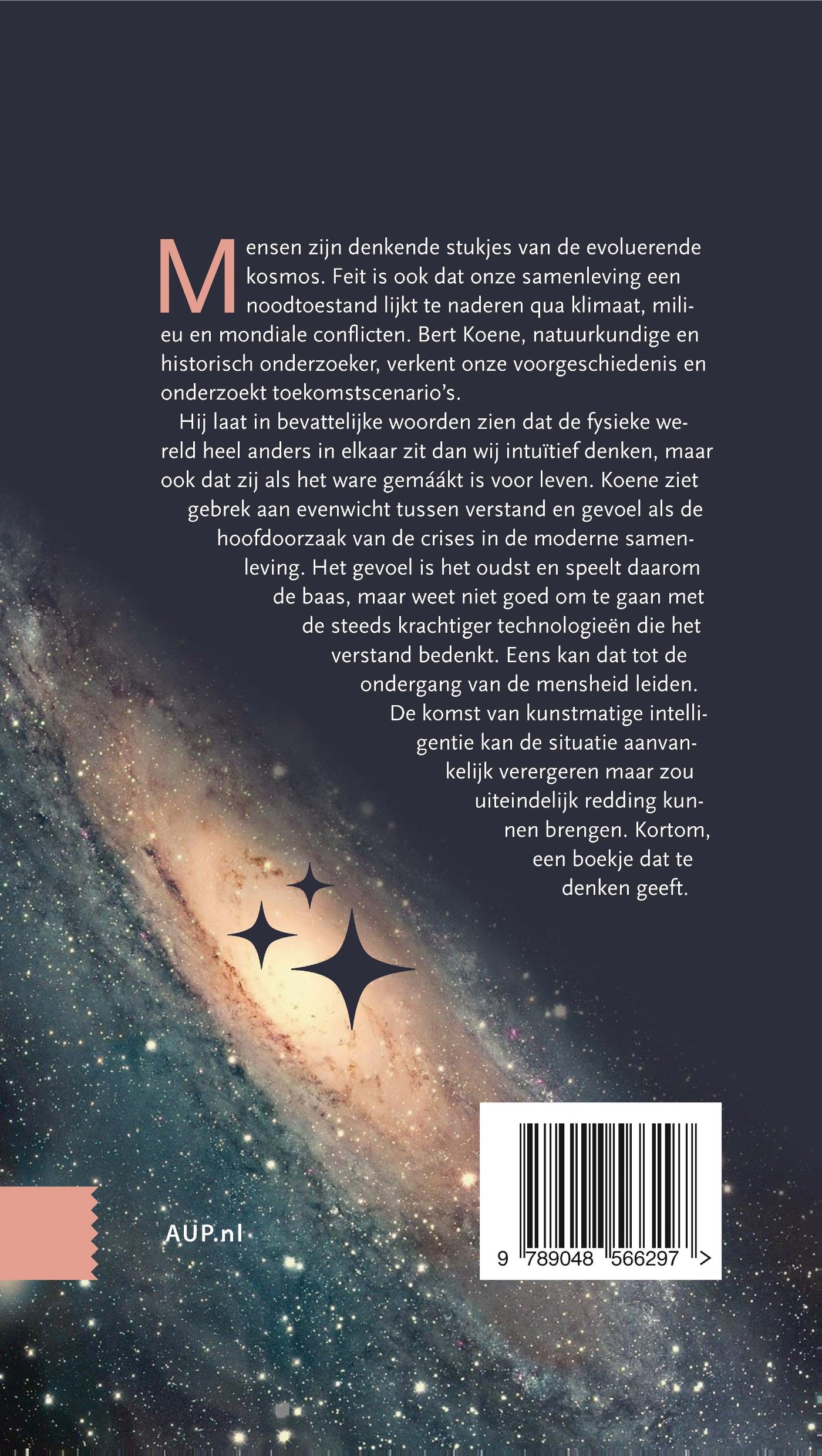 Achterkant van Over de betekenis van ons bestaan