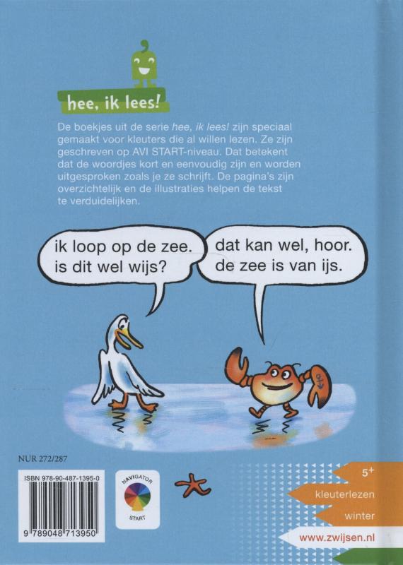 Achterkant van De zee is van ijs