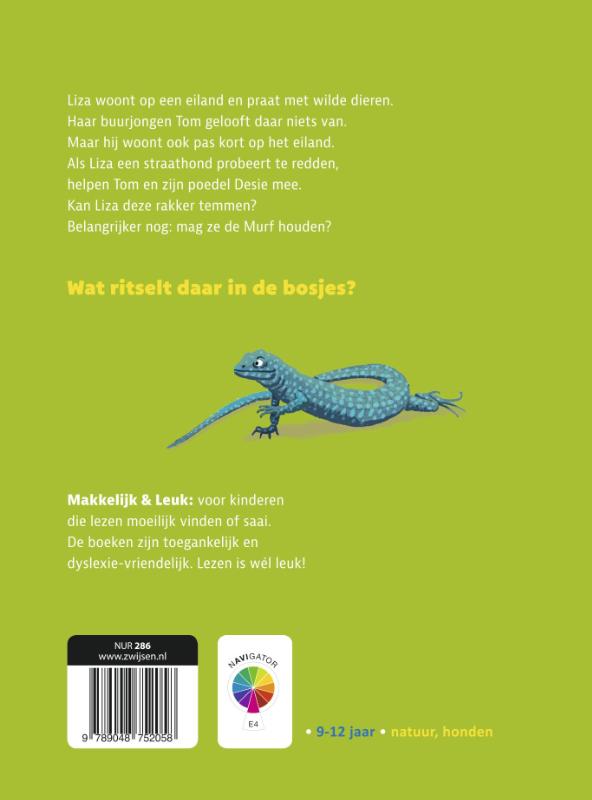 Achterkant van De Murf