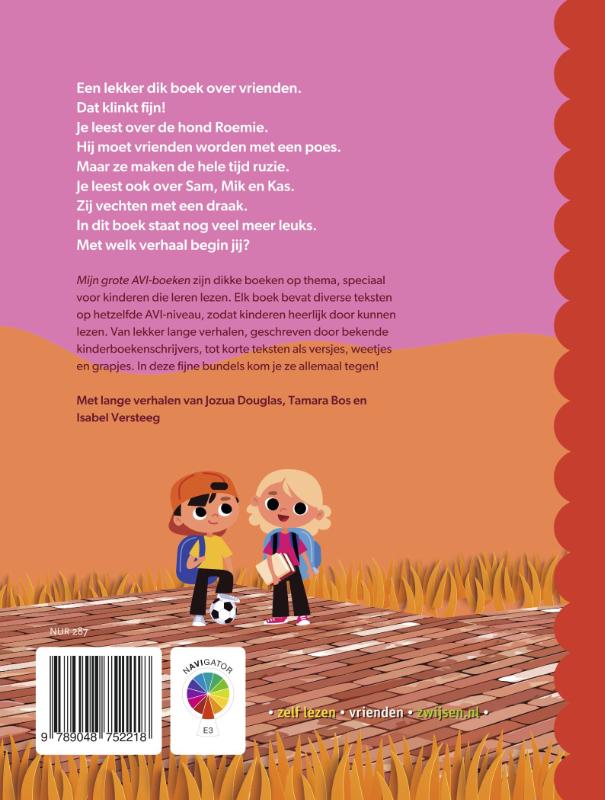 Achterkant van Mijn grote AVI E3 boek over vrienden