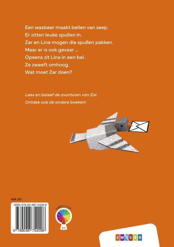 Achterkant van ZAR in de zeepbel