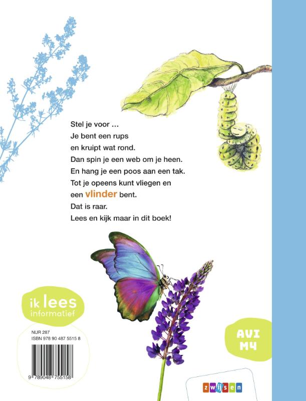 Achterkant van Ha rups, hé vlinder!