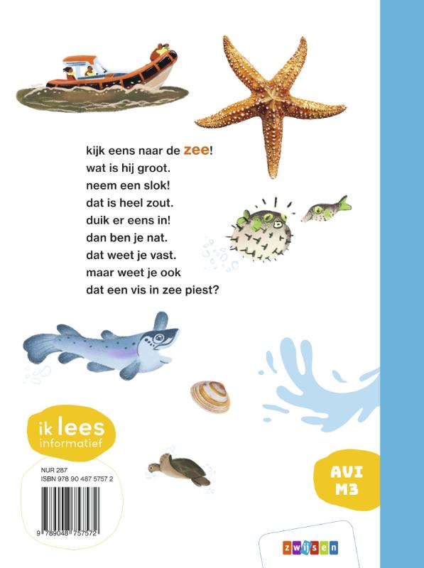 Achterkant van duik in de zee