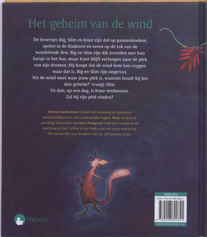 Achterkant van Het geheim van de wind