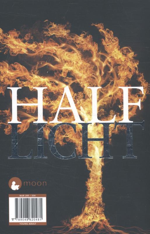 Achterkant van Half licht