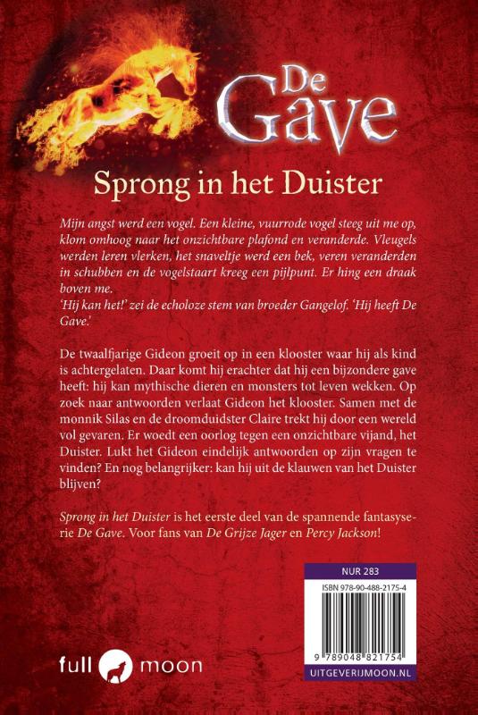 Achterkant van Sprong in het duister