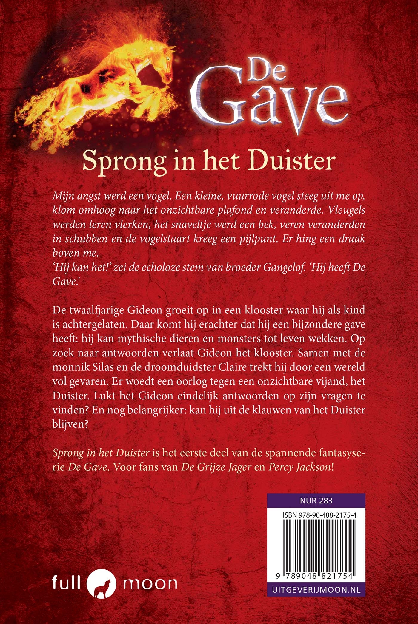 Achterkant van Sprong in het duister