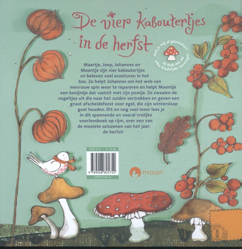 Achterkant van De vier kaboutertjes in de herfst