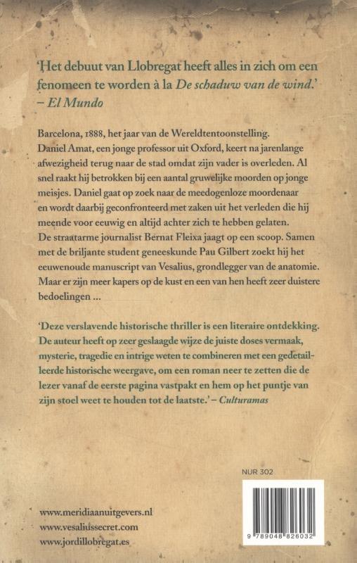 Achterkant van Het geheim van Vesalius