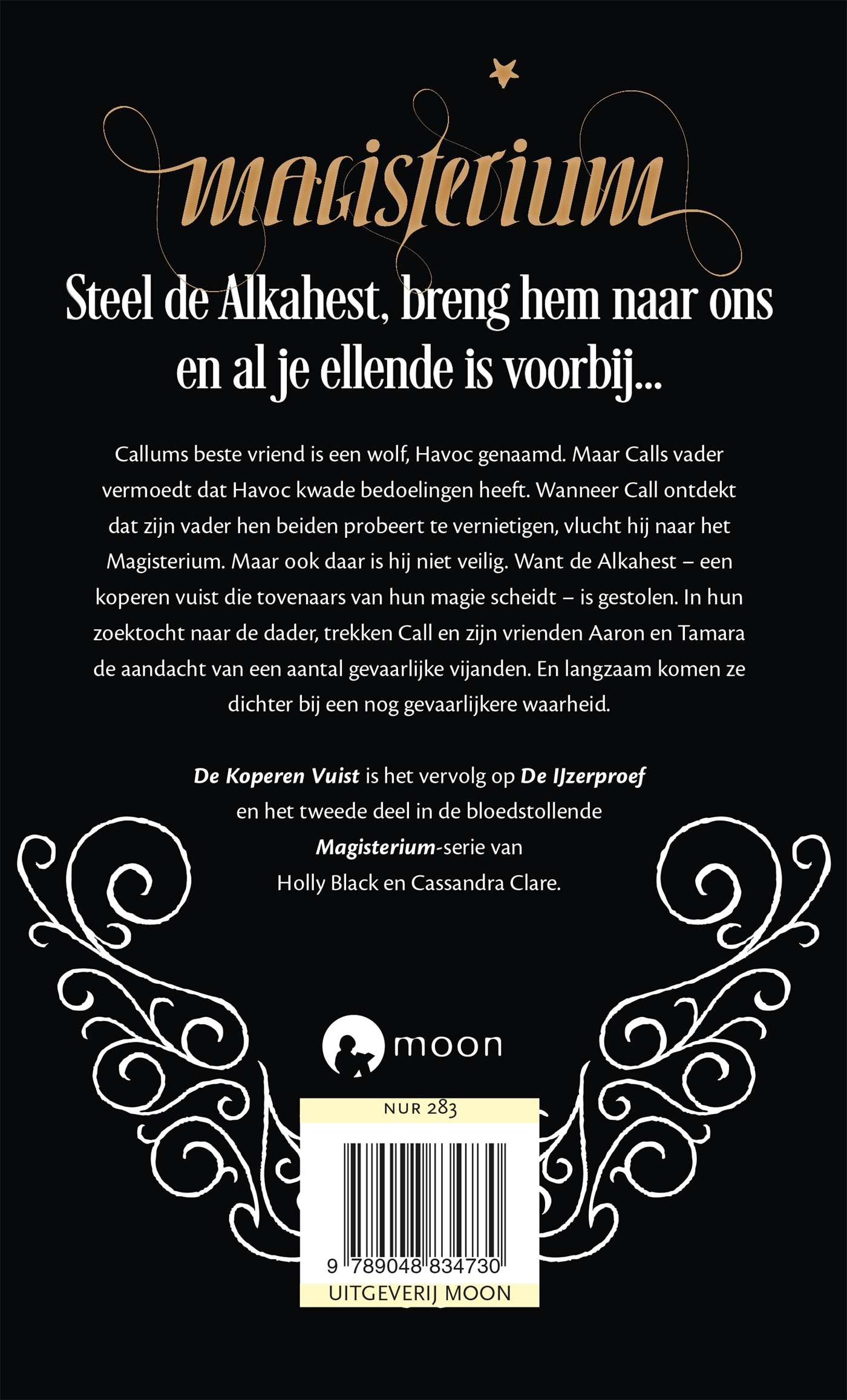 Achterkant van De koperen vuist