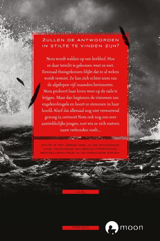 Achterkant van Stilte