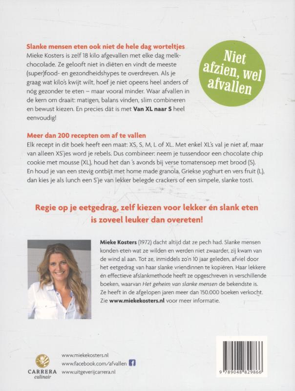Achterkant van Van XL naar S