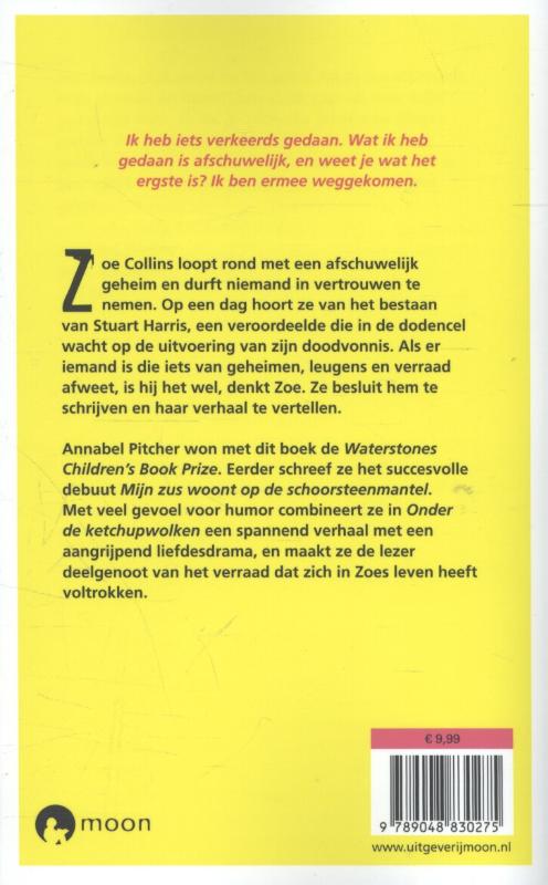 Achterkant van Onder de ketchupwolken