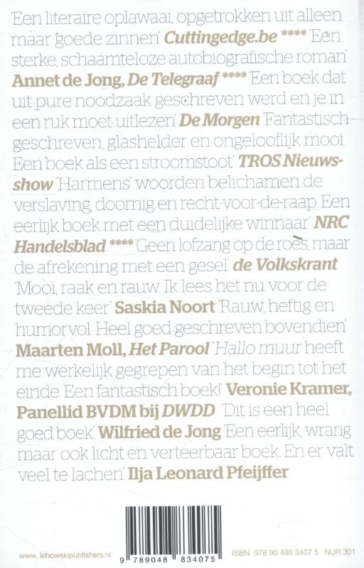 Achterkant van Hallo, muur