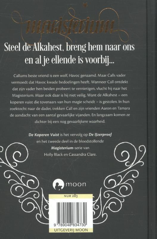 Achterkant van De koperen vuist