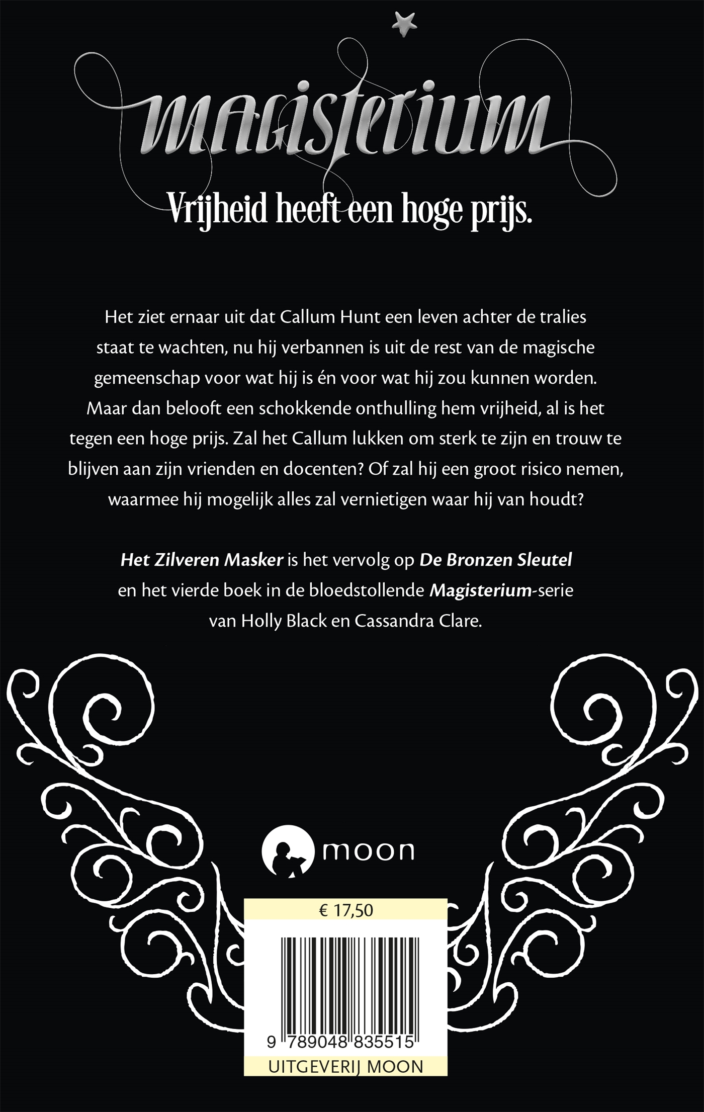 Achterkant van Het zilveren masker