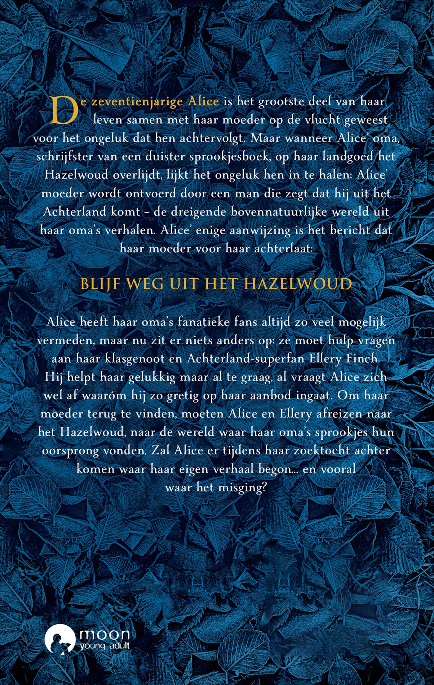 Achterkant van Hazelwoud