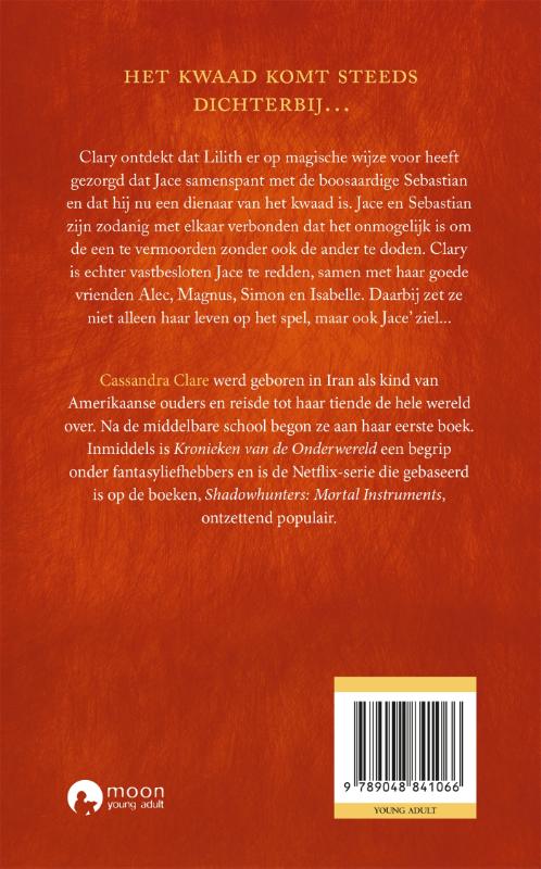 Achterkant van Stad van verloren zielen