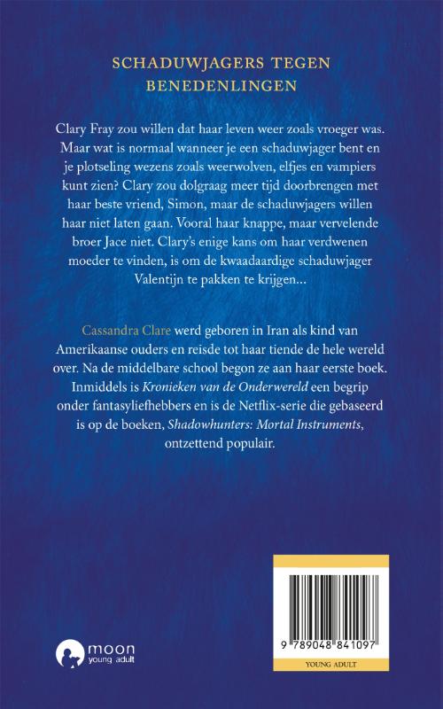 Achterkant van Stad van vuur