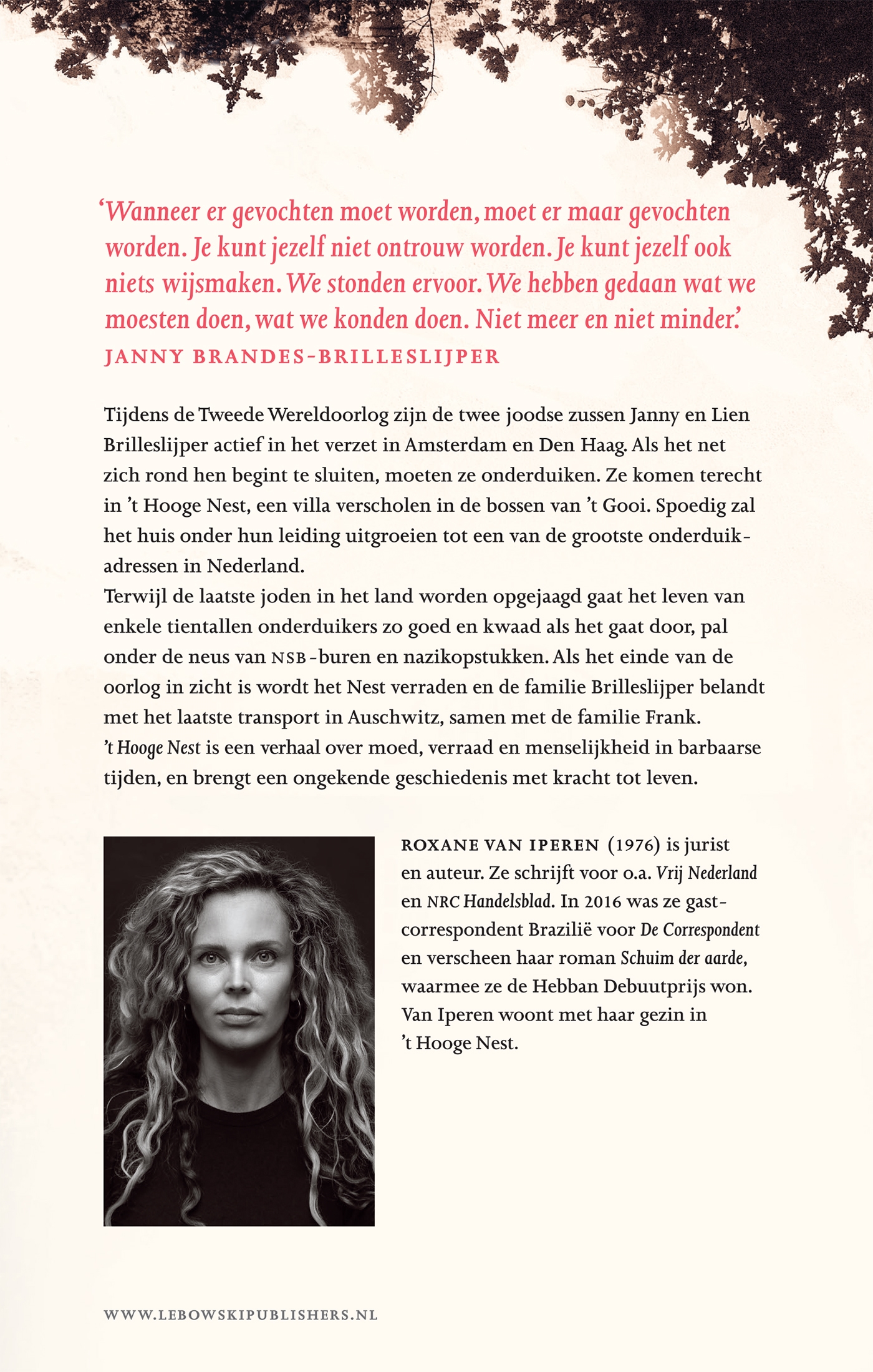 Achterkant van 't Hooge Nest