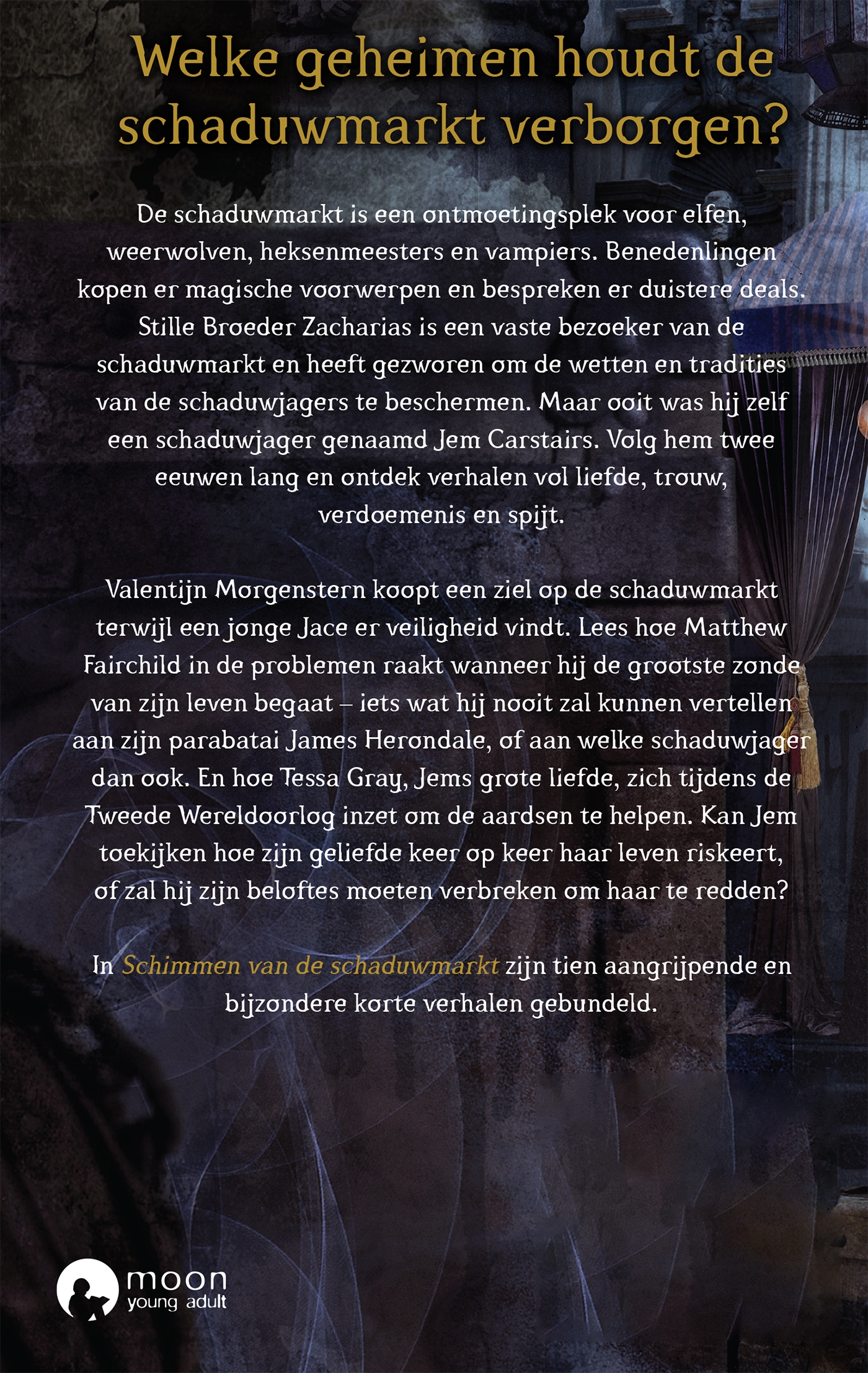 Achterkant van Schimmen van de schaduwmarkt