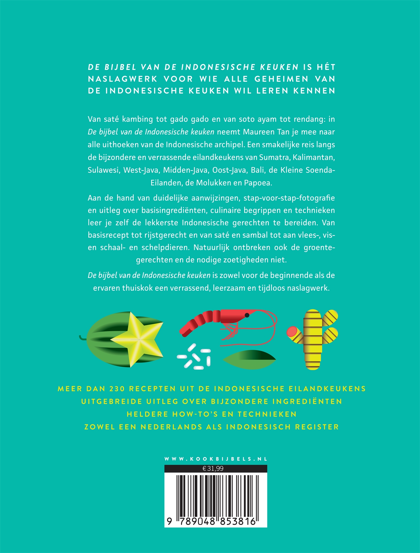 Achterkant van De bijbel van de Indonesische keuken