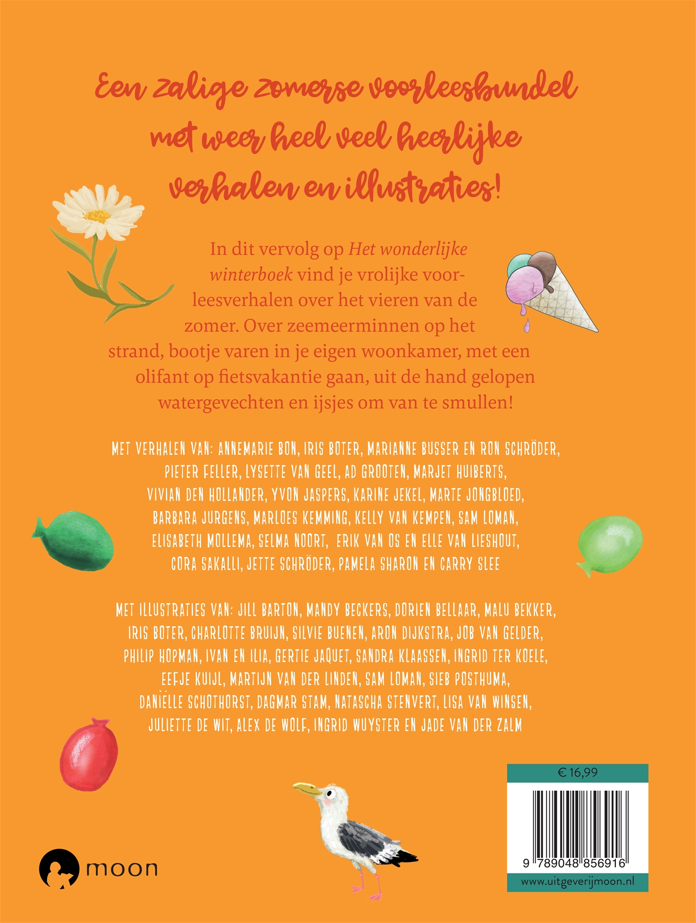 Achterkant van Het zonnige zomerboek