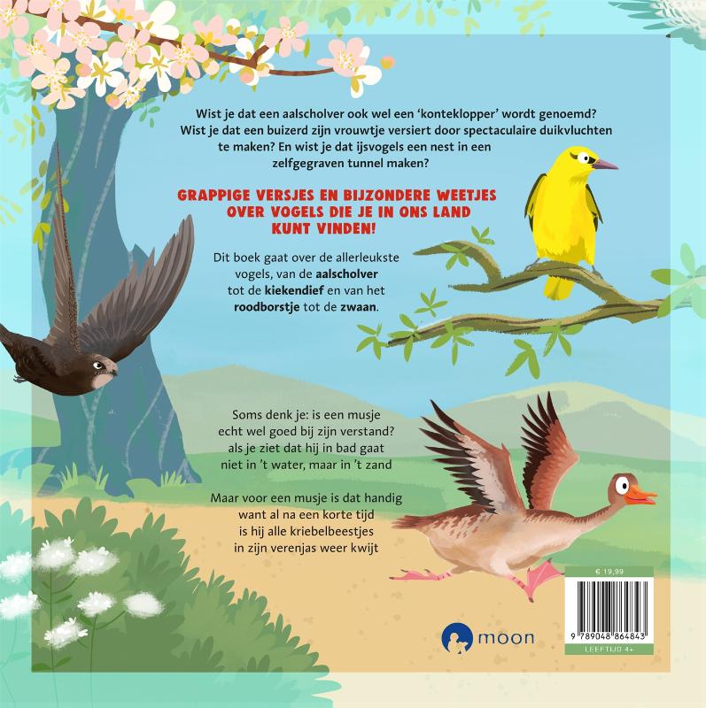 Achterkant van Het dikke vogelboek